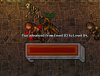 Lvl 84.JPG