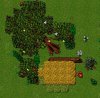tree.jpg