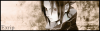 Guide copy.png