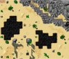 dragondesert.jpg