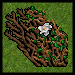 wgrow.png