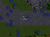 Elf Raid.jpg