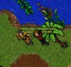 First druid addon.JPG