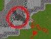 Nowy Obraz - mapa bitowa.jpg