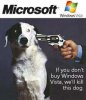 Dogvista.jpg