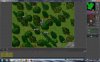 Bear mount.jpg