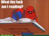 Spiderman 1.jpg