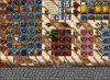 chesco tibia.jpg