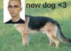images.jpeg