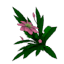 flower01.png