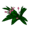 flower02.png