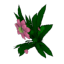 flower03.png