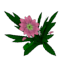 flower04.png