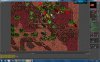 tibia ot.jpg