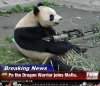 Dragon-Panda-Is-Master-Of-The-Machine-Gun.jpg