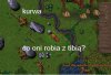 corobia.jpg