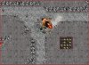 level 38 2.jpg