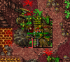 gsdgf.png