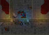 lizards.png