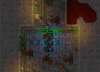 lizards3.png