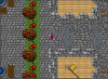 Entrance.png