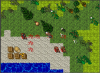 swamp2.png