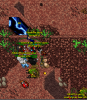 block ahushas.png
