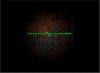 Lazarus.png