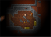 Wild Warrior.png