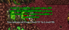 Nimetu 3333457.png