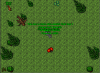 stoneskinamulet.png