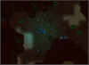 scarabs1.png