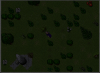 nathooer.png