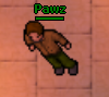 druid pic.png