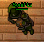 paladin pic.png