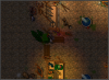 12.png