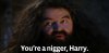Nigger_harry.jpg