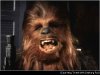 chewbacca.jpg