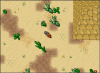 Cactus Fields 2.png