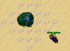 treeoflife.png