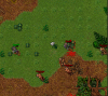 minovshum.png