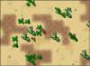 Cactus Fields  1.png