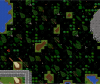 nature1.png