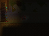 ss24.png