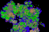 minimap.png