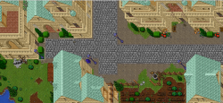 09.png