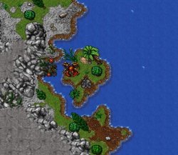 17.jpg