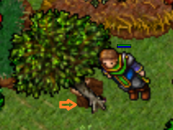 stackpos_bug.png