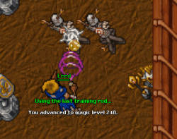trainingrod.gif