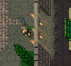 tibia.png